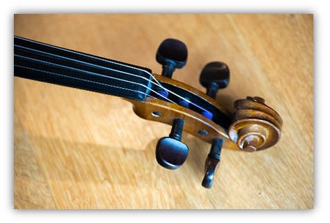 Music Theory Violin Tuning Pegs Headstock