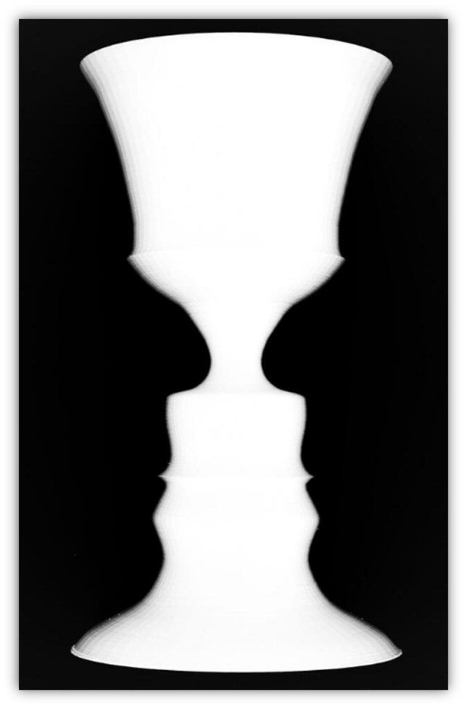 rubin vase illusion